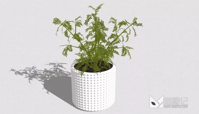 植物盆栽670