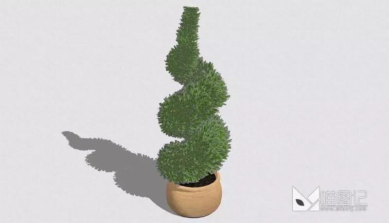 植物盆栽735
