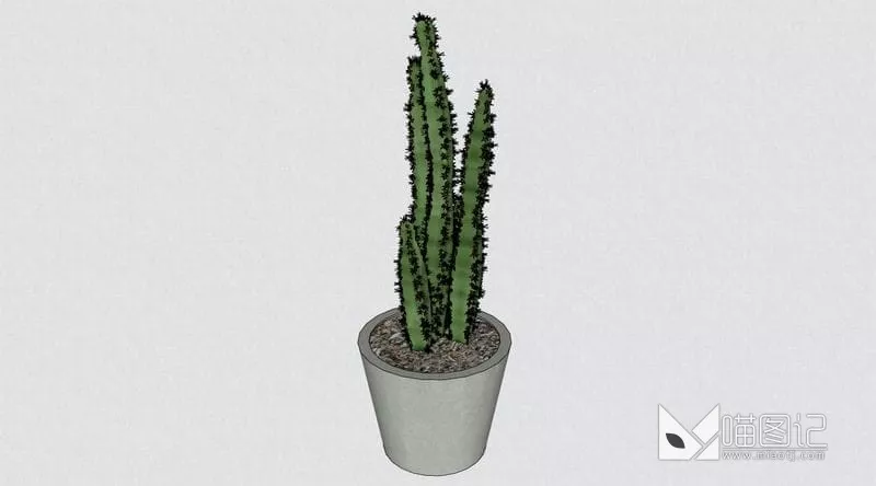 植物盆栽花瓶插花ID:45345_喵图记