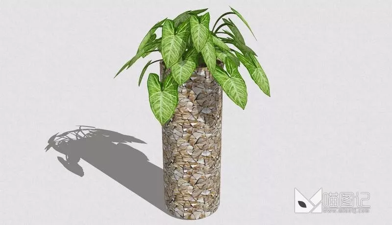 植物盆栽1067