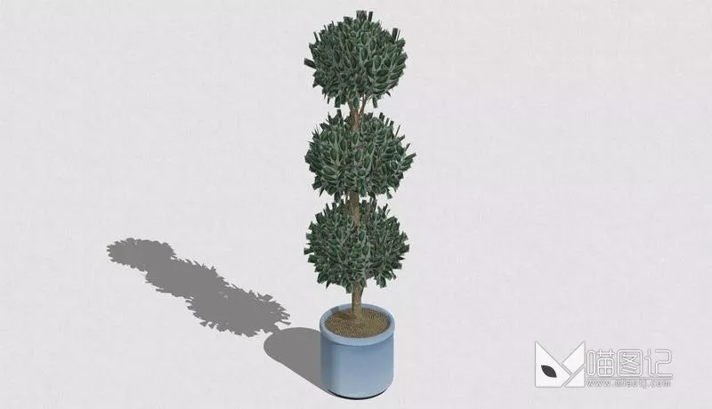植物盆栽677