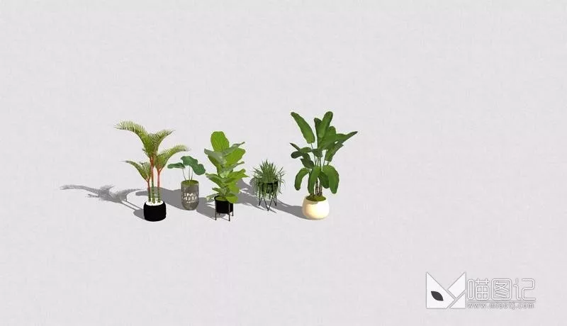 植物盆栽760