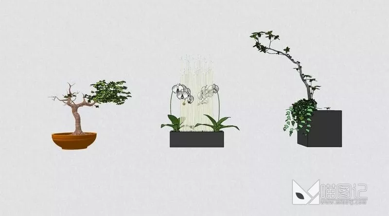 植物盆栽 ID:45881_喵图记