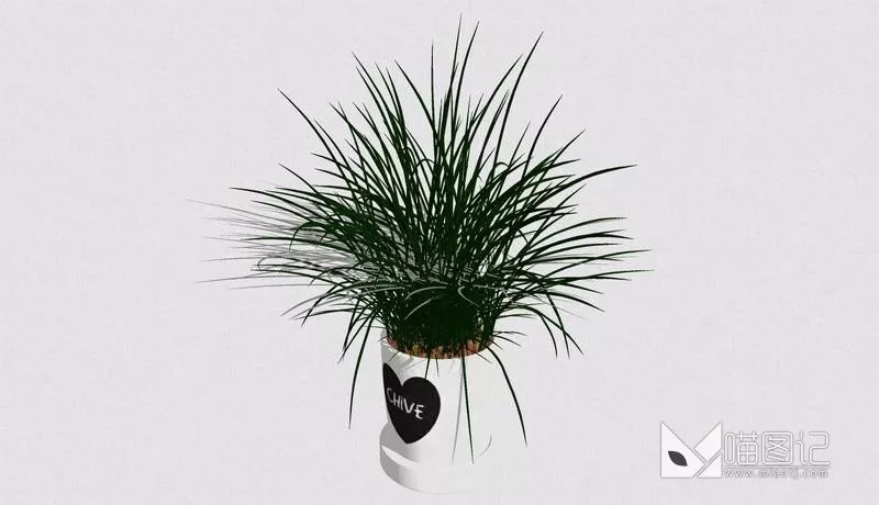 植物盆栽755