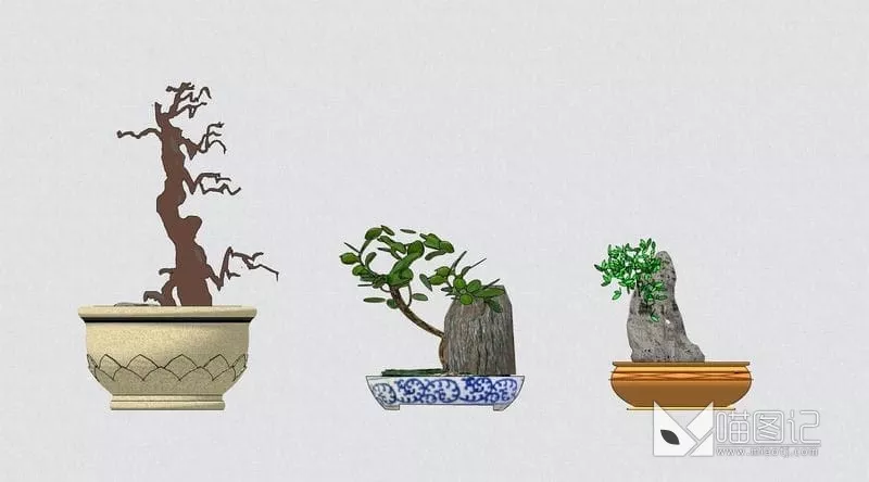 植物盆栽 ID:45809_喵图记