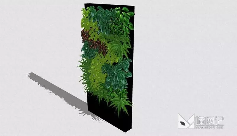 植物盆栽1070