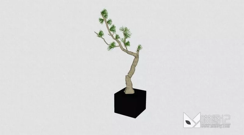 植物盆栽花瓶插花ID:45444_喵图记