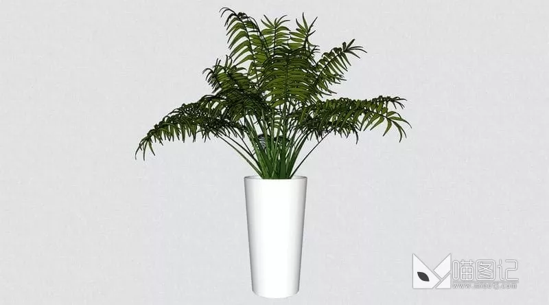 植物盆栽花瓶插花ID:45462_喵图记