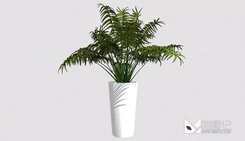植物盆栽4911
