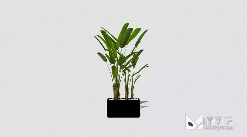 植物盆栽 ID:46046_喵图记
