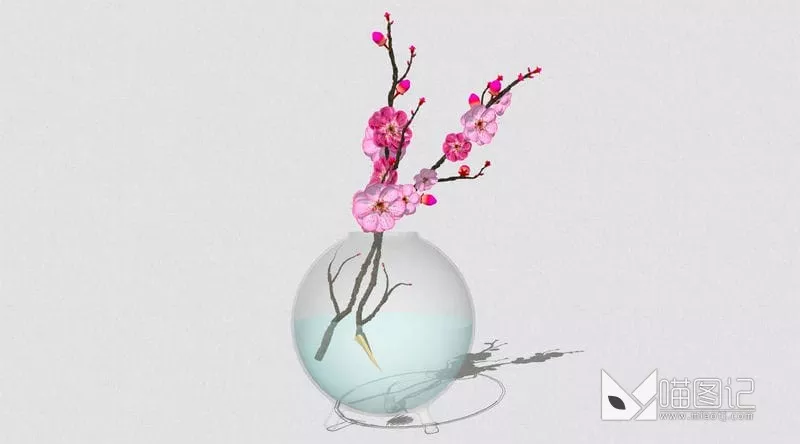花ID:43719_喵图记