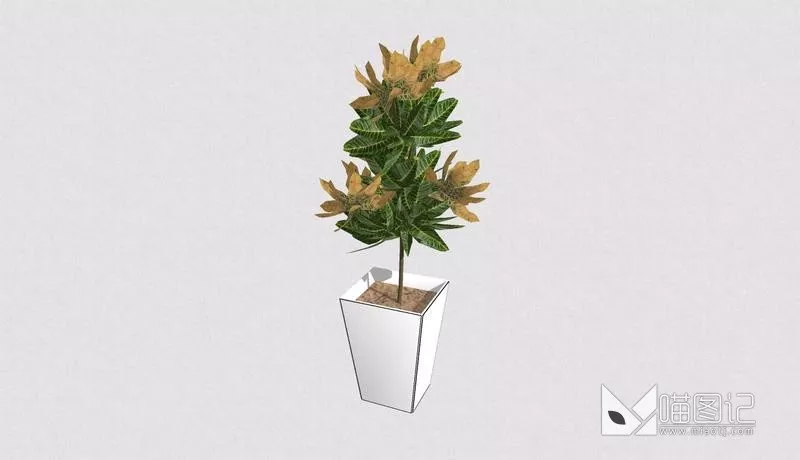 植物盆栽4927