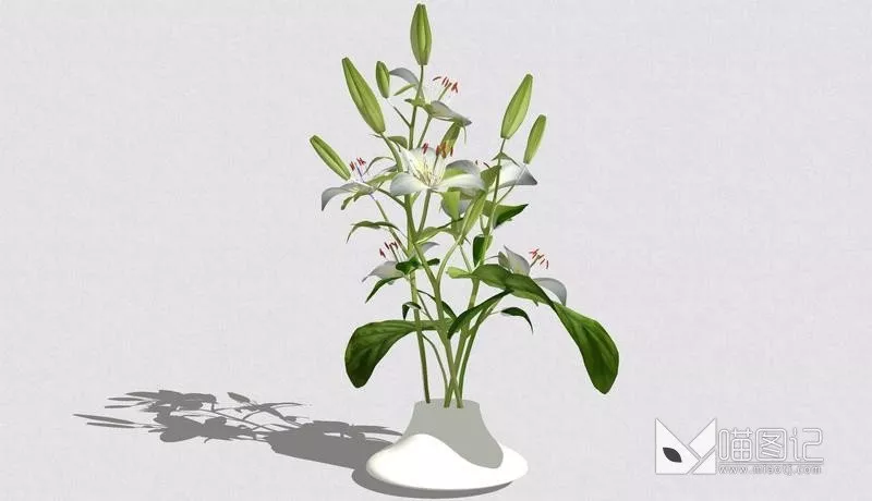 花瓶花艺4252_喵图记