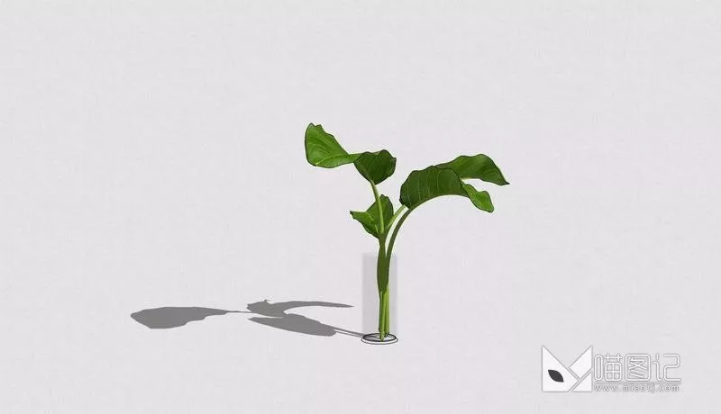 花瓶花艺5421_喵图记