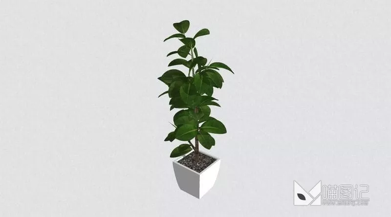 植物盆栽花瓶插花ID:45408_喵图记