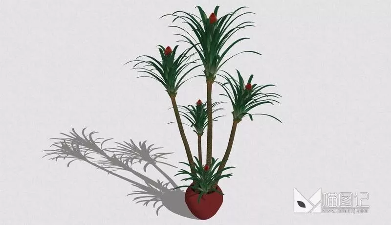 植物盆栽722