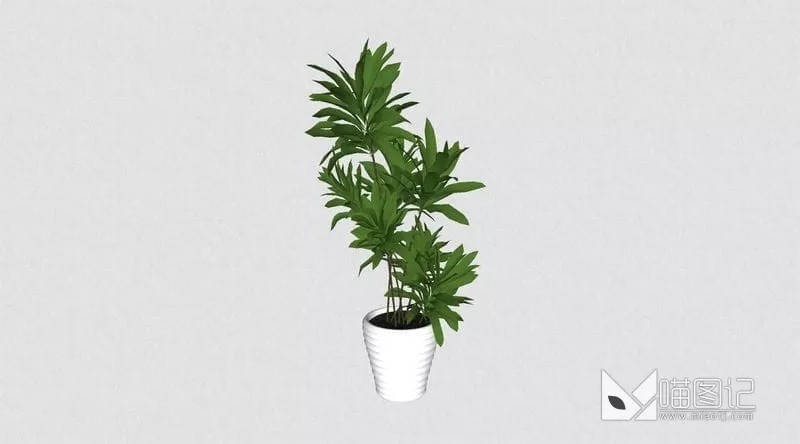 植物盆栽花瓶插花ID:45405_喵图记