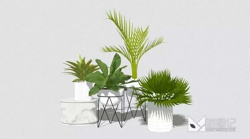 植物盆栽ID:46130_喵图记