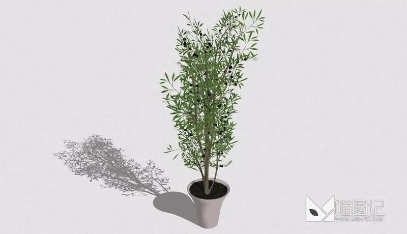 植物盆栽728
