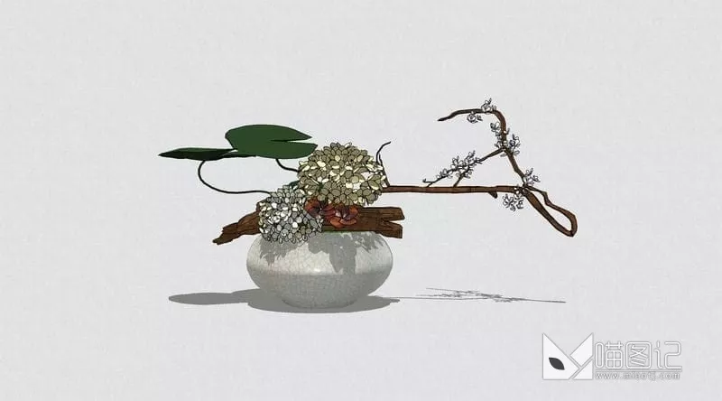 花卉盆栽植物ID:46127_喵图记