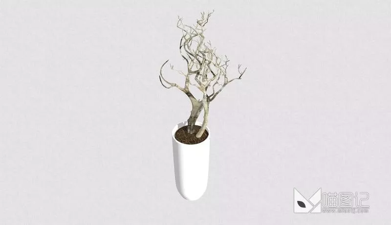 植物盆栽4933