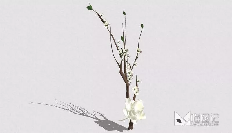 植物盆栽4924