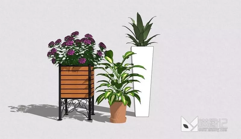 植物盆栽6363
