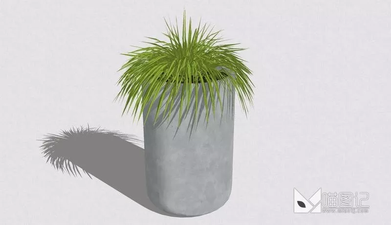 植物盆栽671