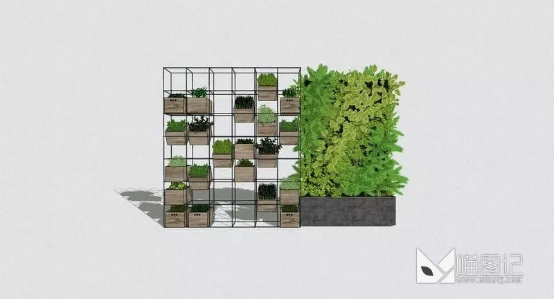 植物墙ID:45053_喵图记