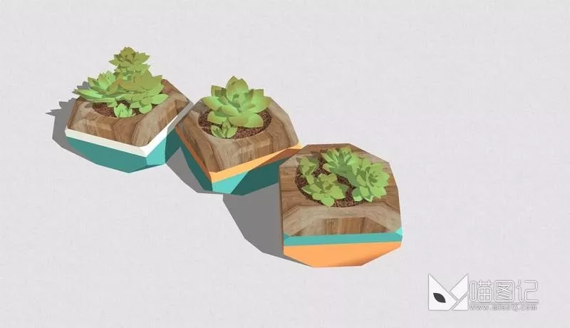植物盆栽3747