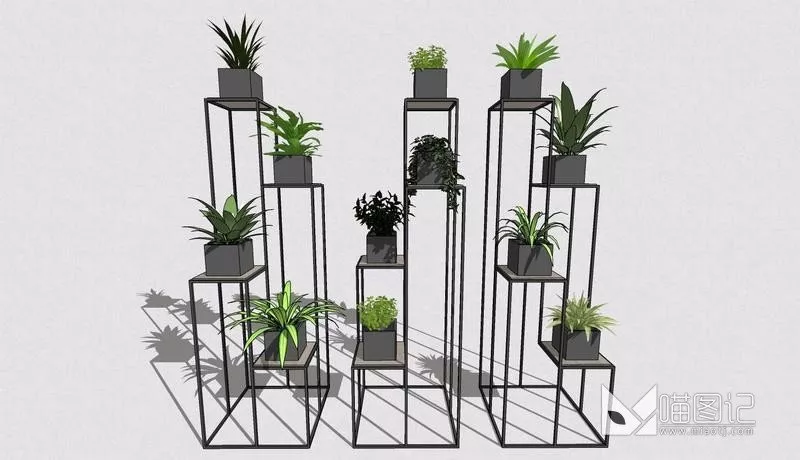 植物盆栽4234