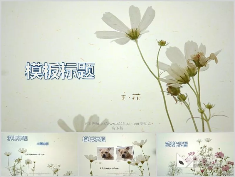 汇报唯美清新53611ecc010f0方案汇报_喵图记