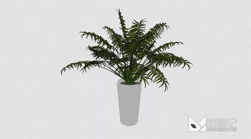 植物盆栽花瓶插花ID:45417_喵图记