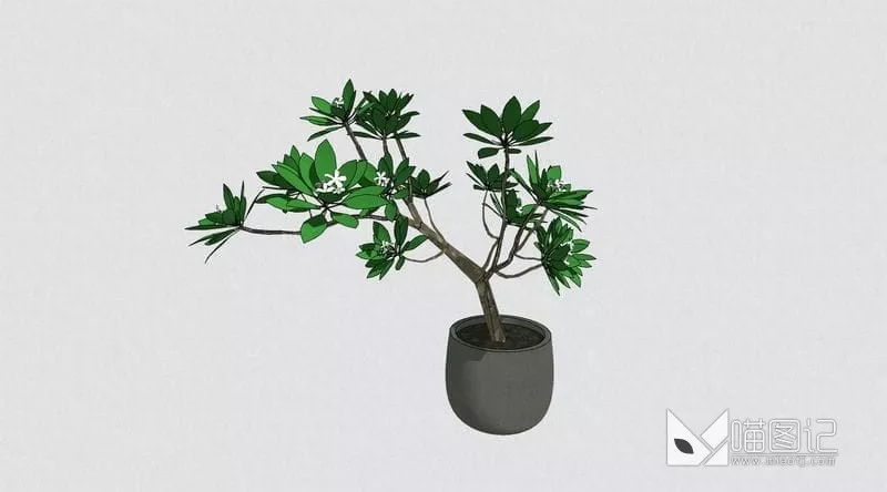 植物盆栽花瓶插花ID:45402_喵图记