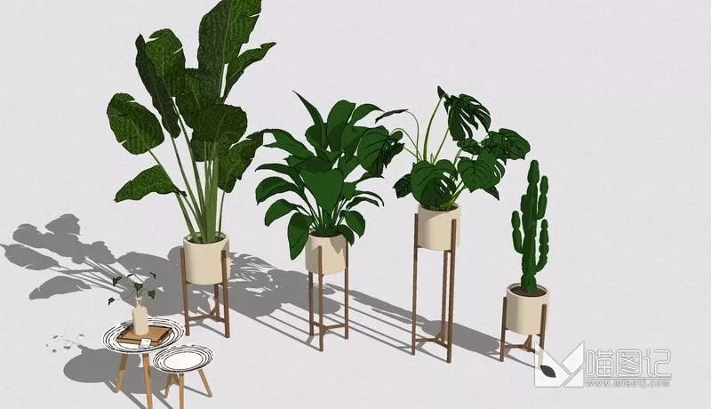 植物盆栽5990