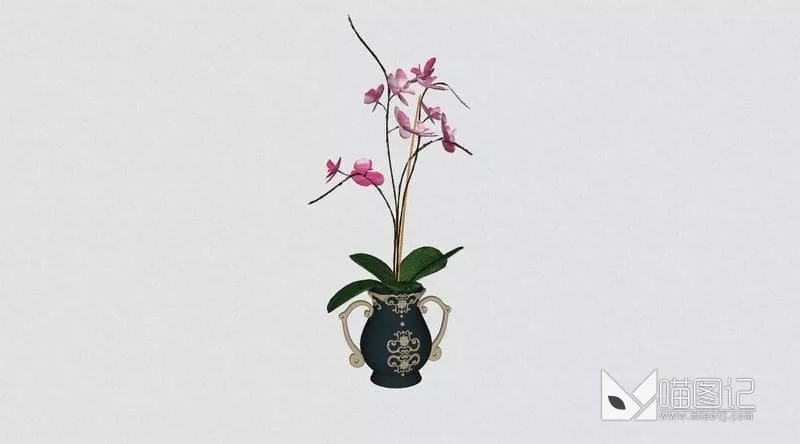 植物盆栽花瓶插花ID:45366_喵图记
