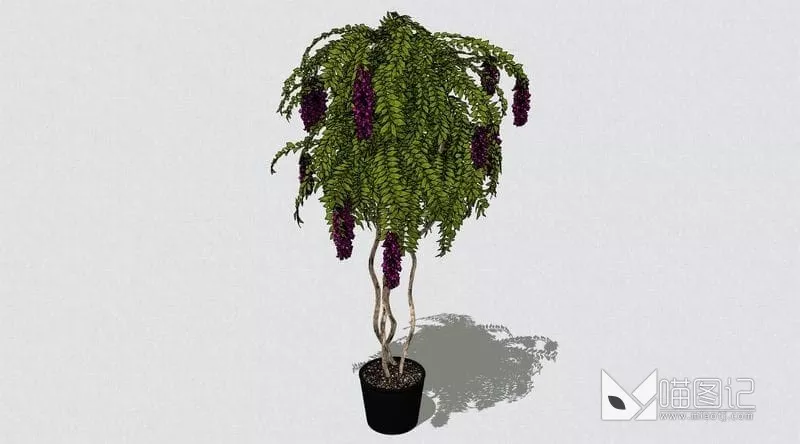 植物盆栽精品ID:45285_喵图记