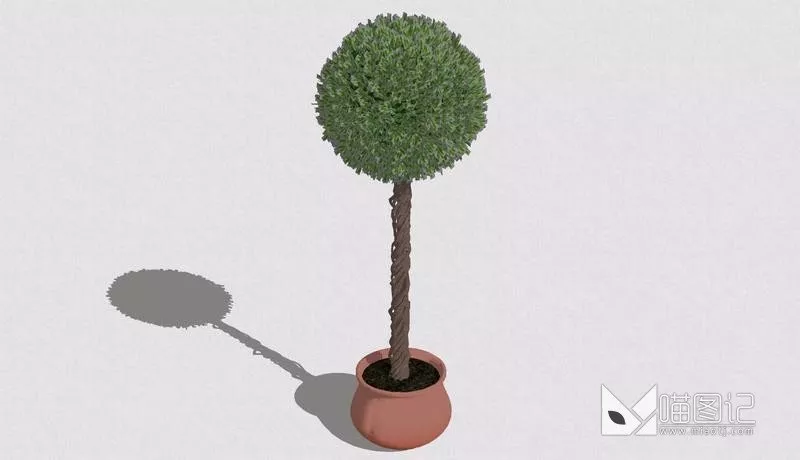 植物盆栽698