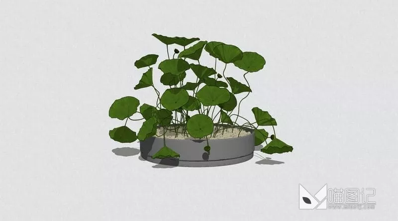 植物盆栽摆件 ID:45517_喵图记