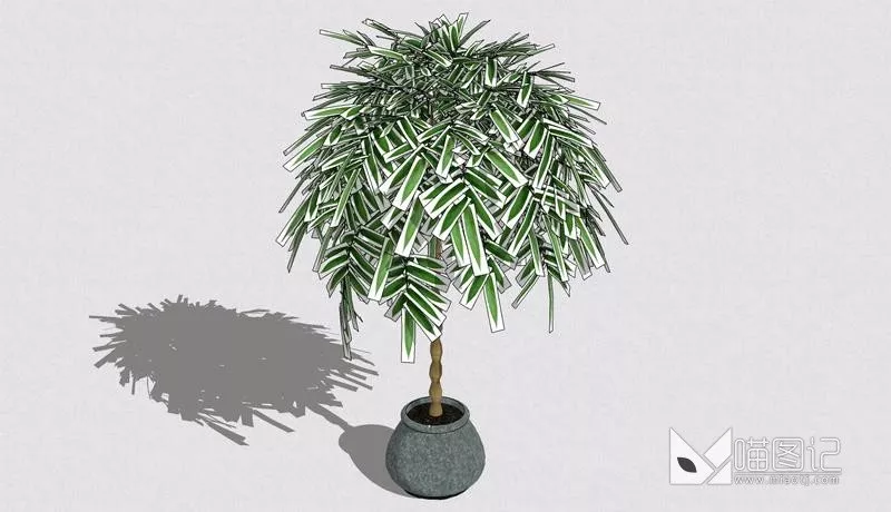 植物盆栽695