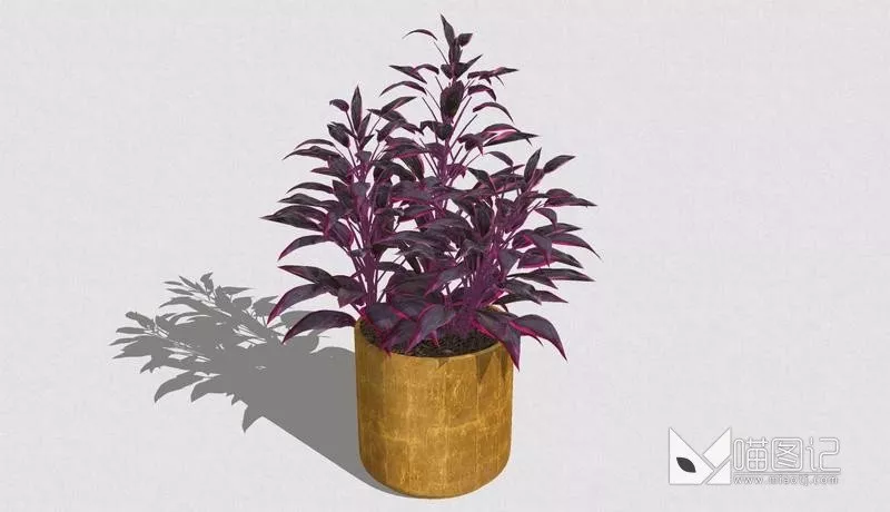 植物盆栽1066