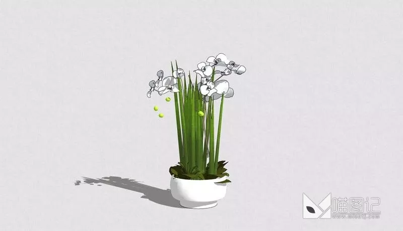 植物盆栽4915