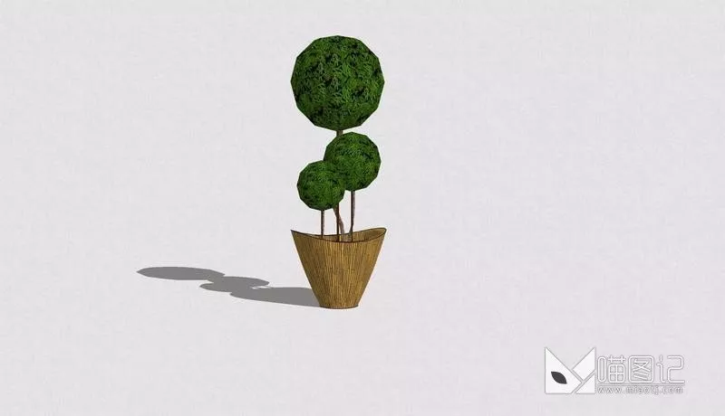 植物盆栽1201