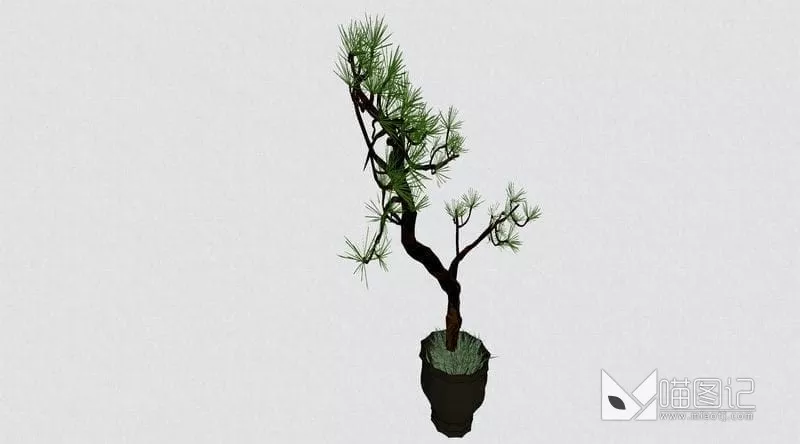 植物盆栽花瓶插花ID:45423_喵图记