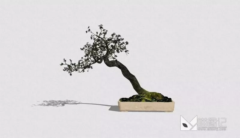 花瓶花艺4282_喵图记