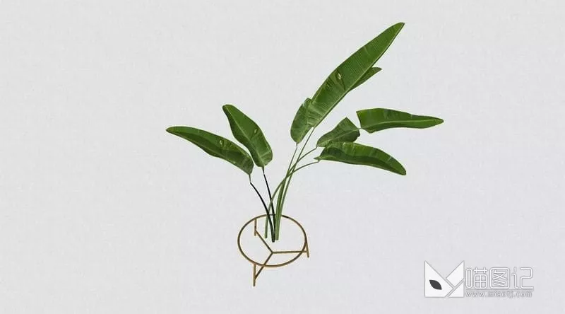植物盆栽花瓶插花ID:45390_喵图记