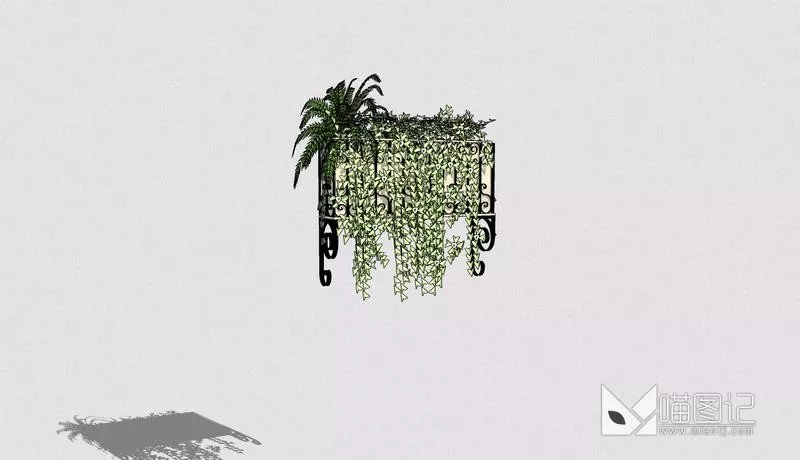 植物盆栽1203