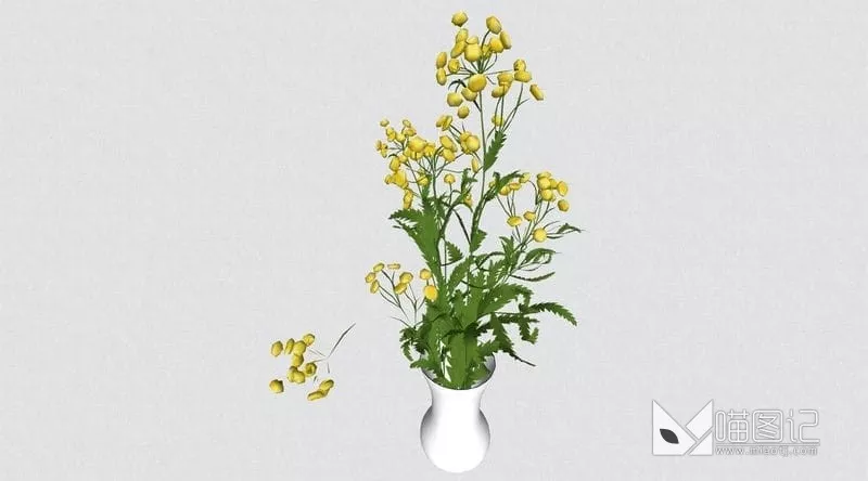 植物盆栽花瓶插花ID:45372_喵图记