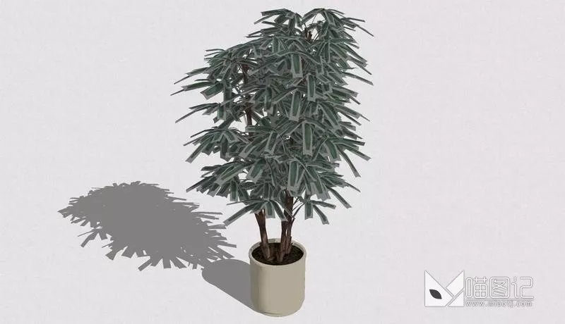植物盆栽696