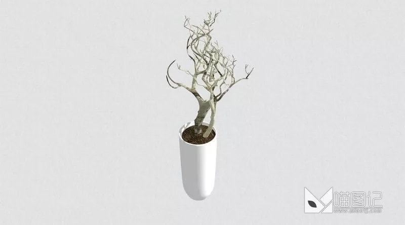 植物盆栽花瓶插花ID:45399_喵图记